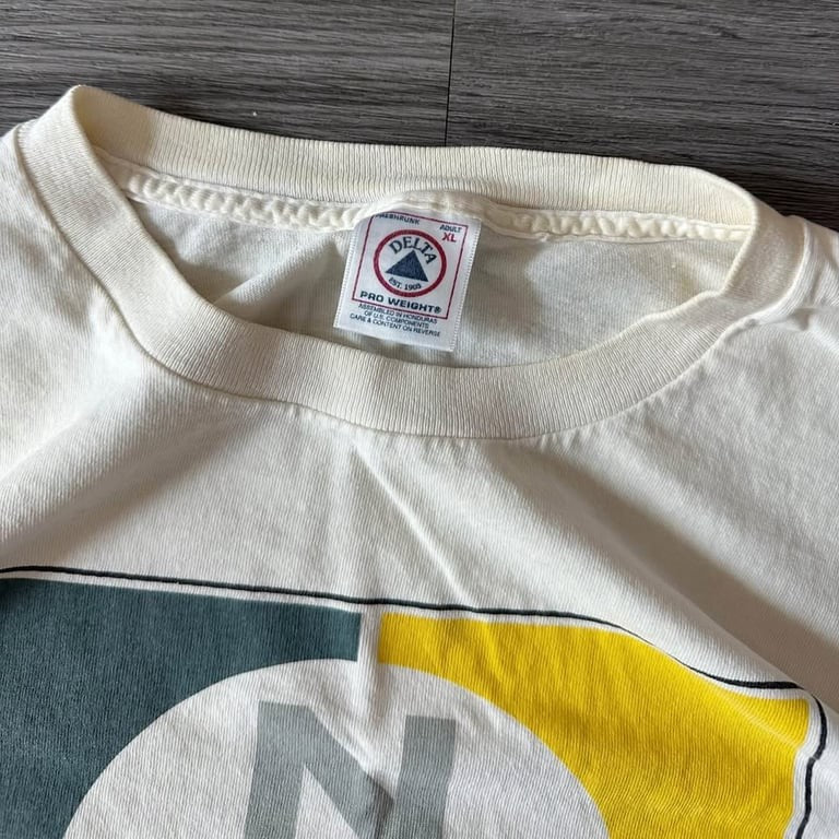 Vintage Albany New York Graphic Tee Delta Pro Weight
