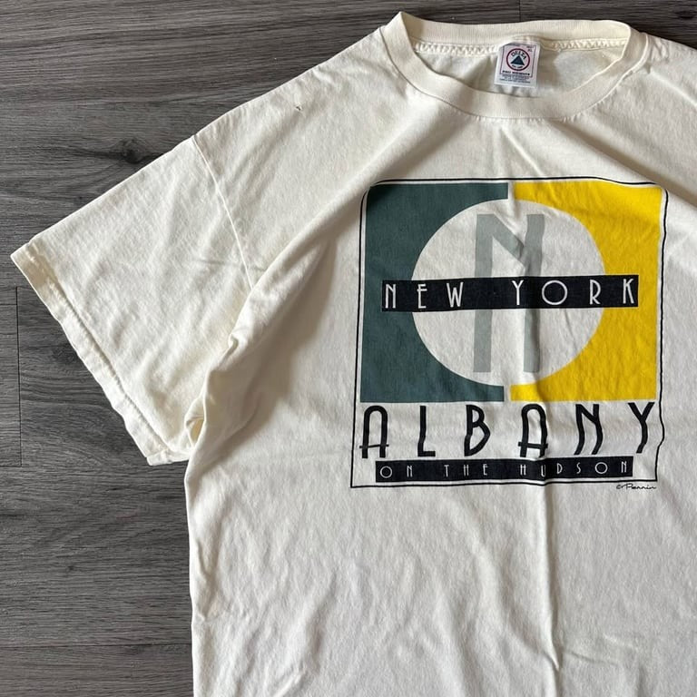 Vintage Albany New York Graphic Tee Delta Pro Weight