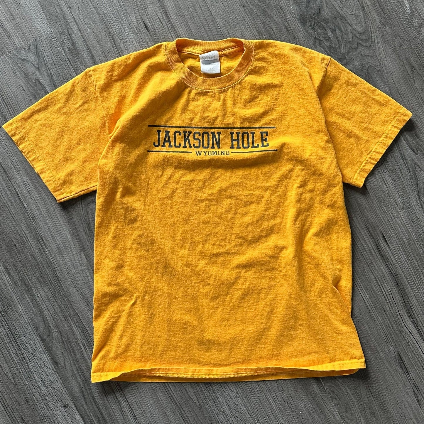 Vintage Gildan Ultra Cotton Jackson Hole Wyoming T-Shirt