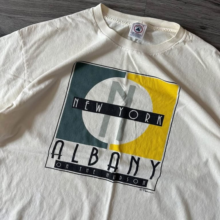 Vintage Albany New York Graphic Tee Delta Pro Weight
