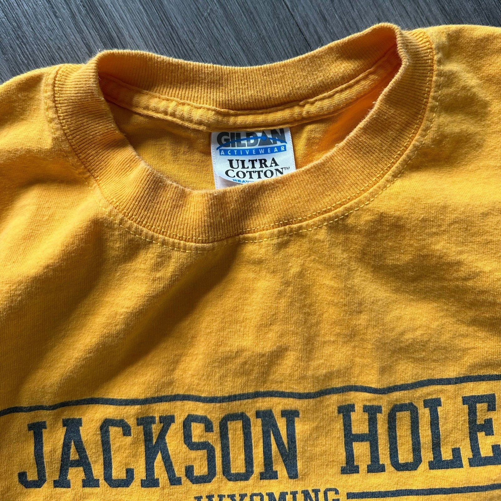 Vintage Gildan Ultra Cotton Jackson Hole Wyoming T-Shirt