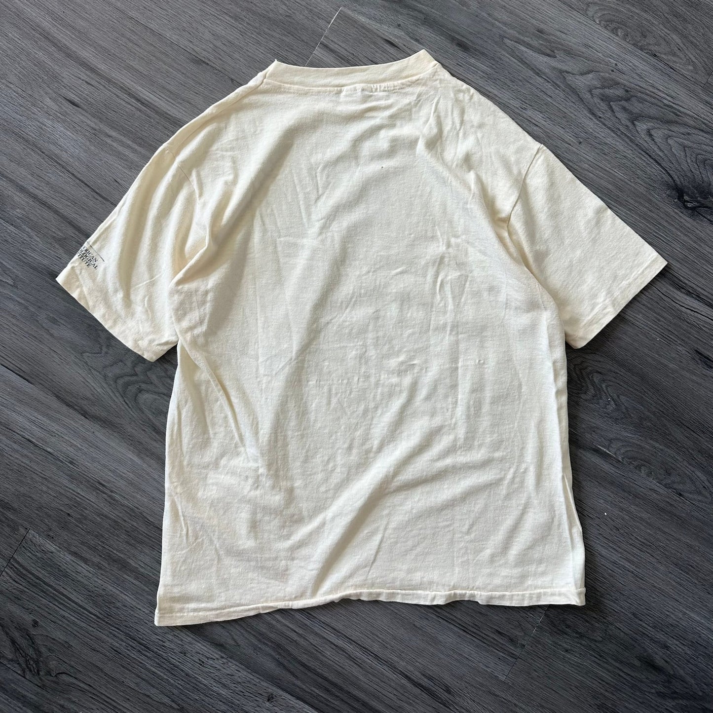 Vintage 80s American Geological Institute Graphic T-Shirt “REPENT” Dinosaur