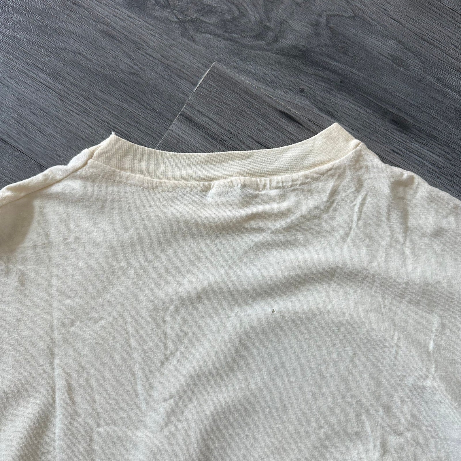 Vintage 80s American Geological Institute Graphic T-Shirt “REPENT” Dinosaur